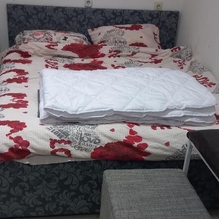 Appartement Big Bed, Rumenacka 7 à Novi Sad Extérieur photo