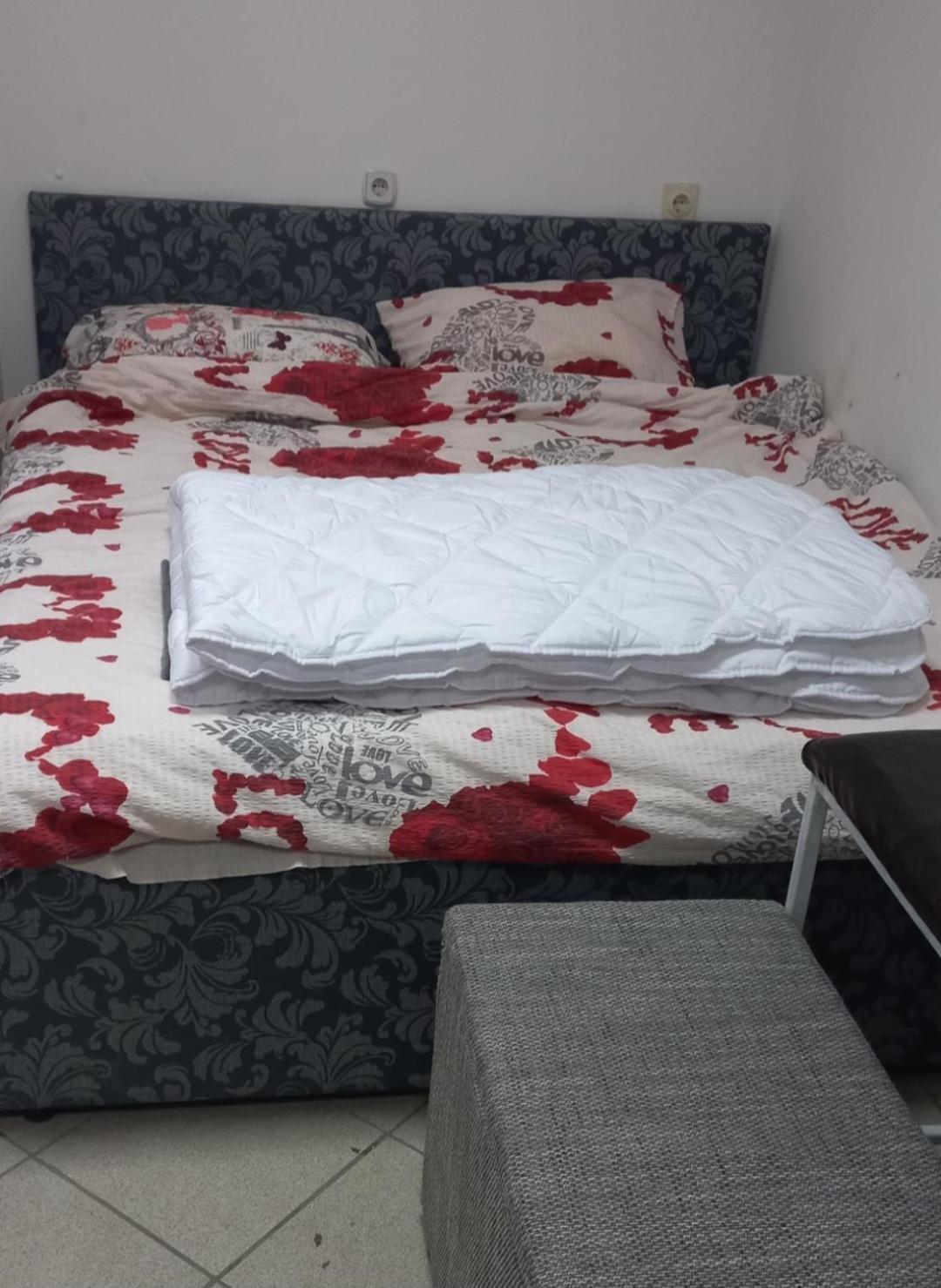 Appartement Big Bed, Rumenacka 7 à Novi Sad Extérieur photo